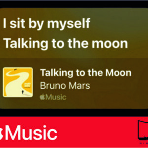 استیکر Apple Music14