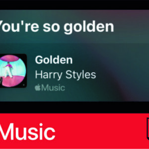 استیکر Apple Music144