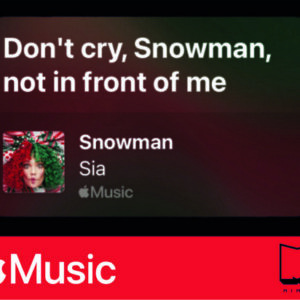 استیکر Apple Music29
