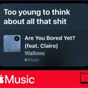 استیکر Apple Music30