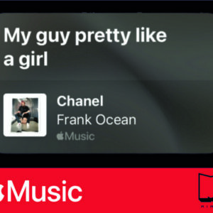 استیکر Apple Music31