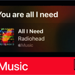 استیکر Apple Music49
