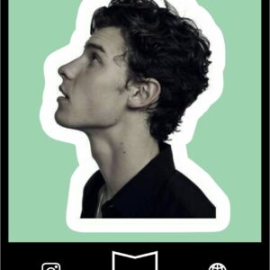 استیکر Shawn Mendes