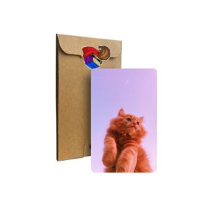استیکر کارت Cat