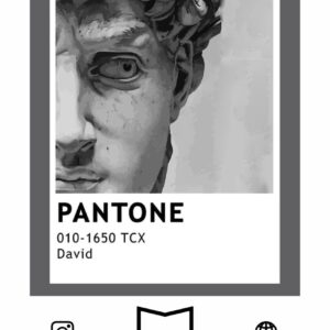 استیکر David - pantone