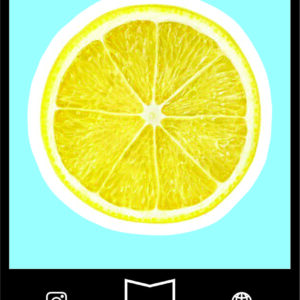 استیکر Fruits5