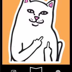 استیکر Cat Meme