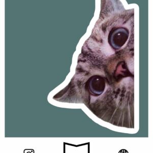 استیکر Cat Meme