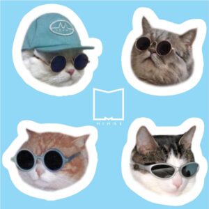 پک استیکر Cat Memes