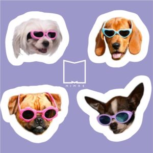 پک استیکر Dog Memes