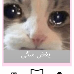 استیکر Meme120