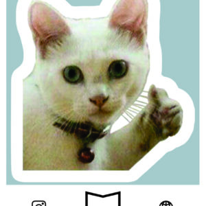 استیکر Cat Meme