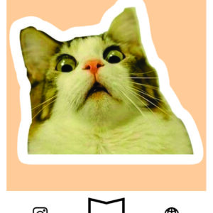 استیکر Cat Meme