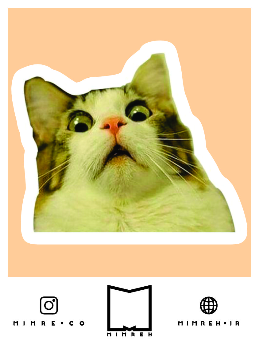 استیکر Cat Meme