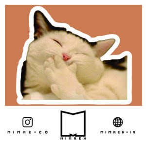 استیکر Cat Meme