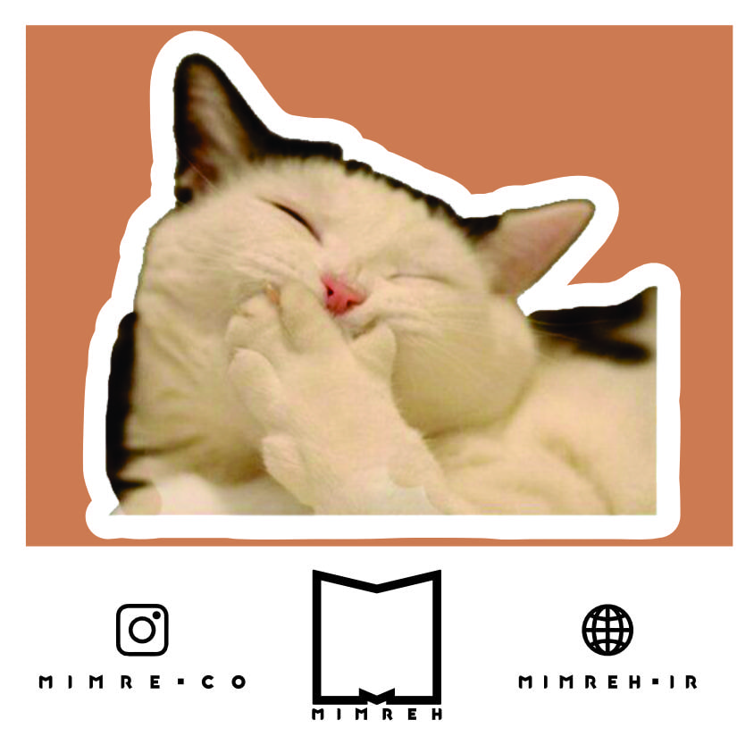 استیکر Cat Meme