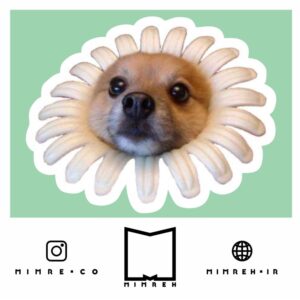 استیکر   Dog meme