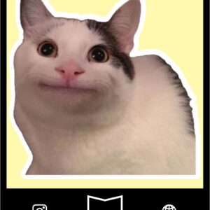 استیکر   Cat meme