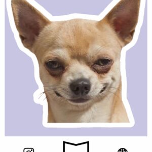 استیکر Dog meme
