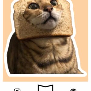 استیکر Cat Meme
