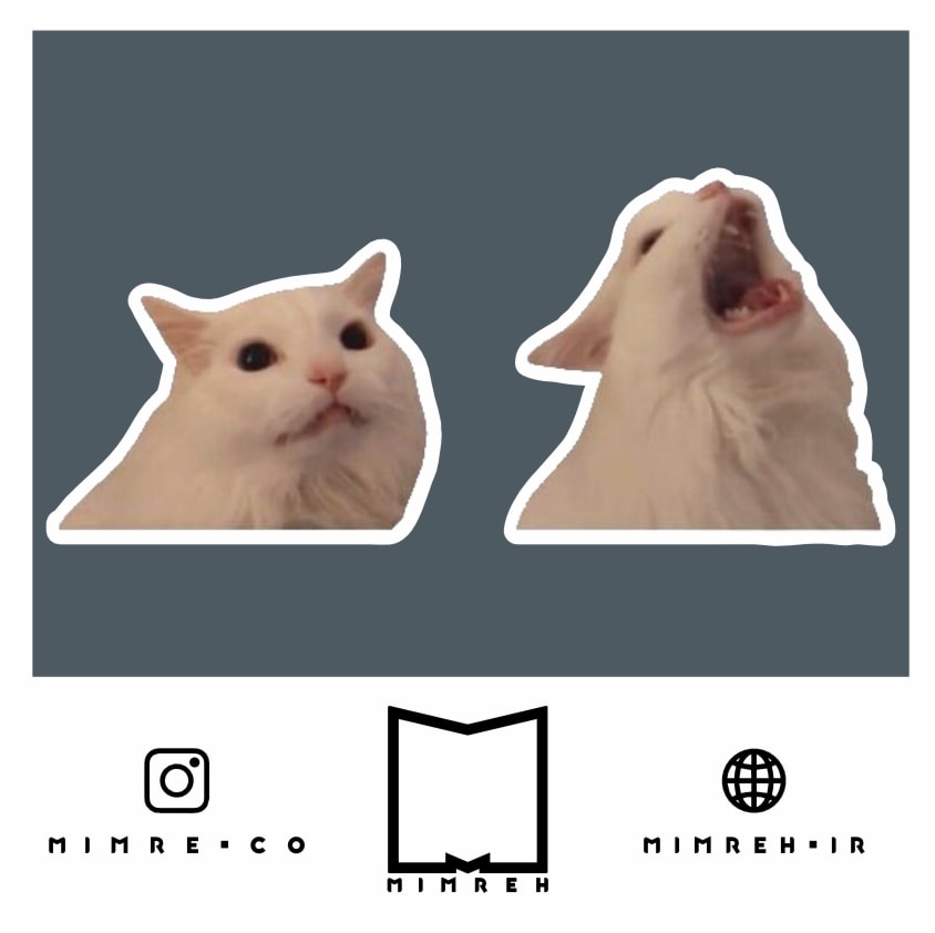 استیکر Cat Meme