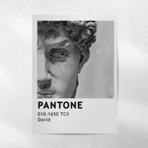 پوستر David – pantone