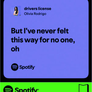 استیکر متن اسپاتیفای spotify24