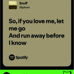 استیکر متن اسپاتیفای spotify41